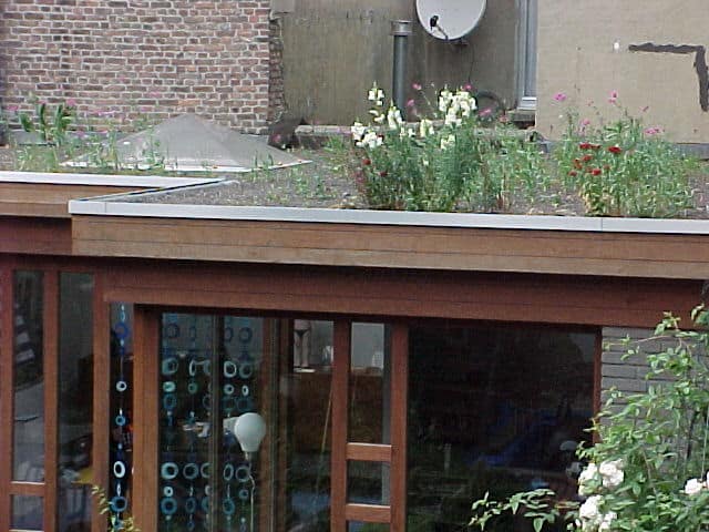 Groendak Berchem
